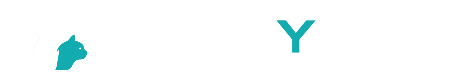 Pet Dyzer